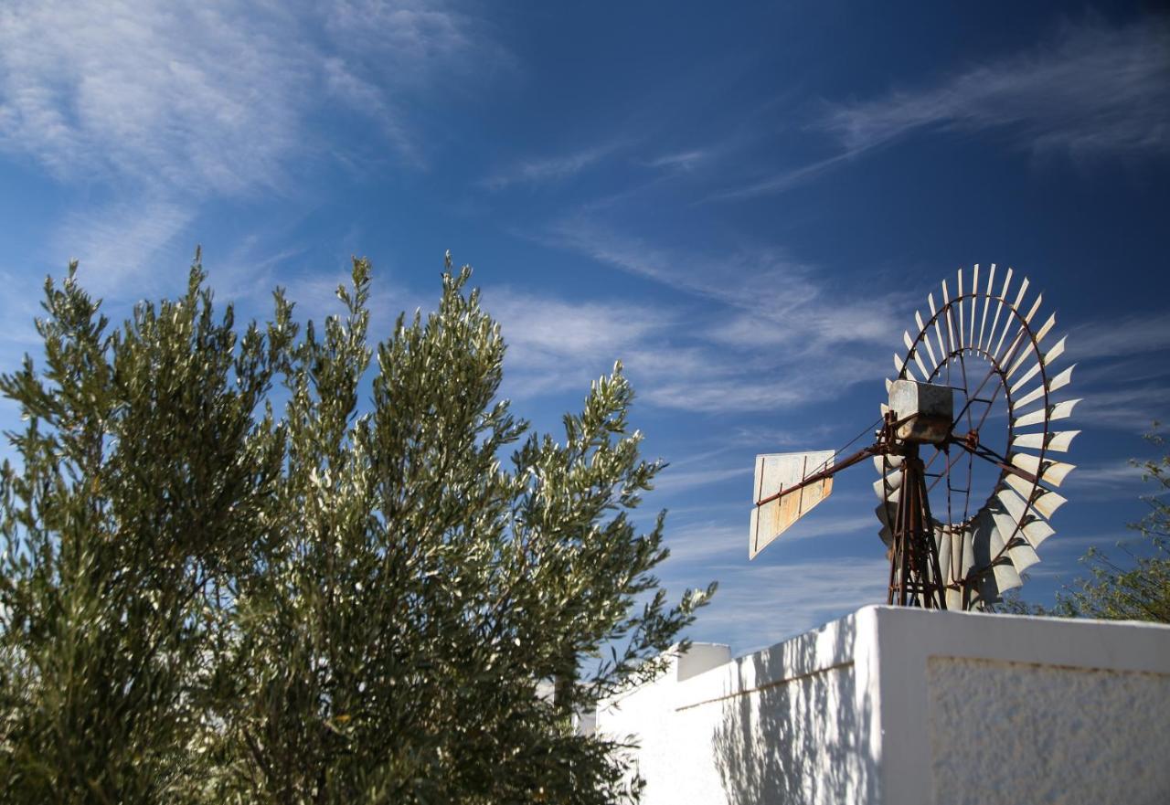 Dennehof Karoo Guesthouse Prince Albert Kültér fotó