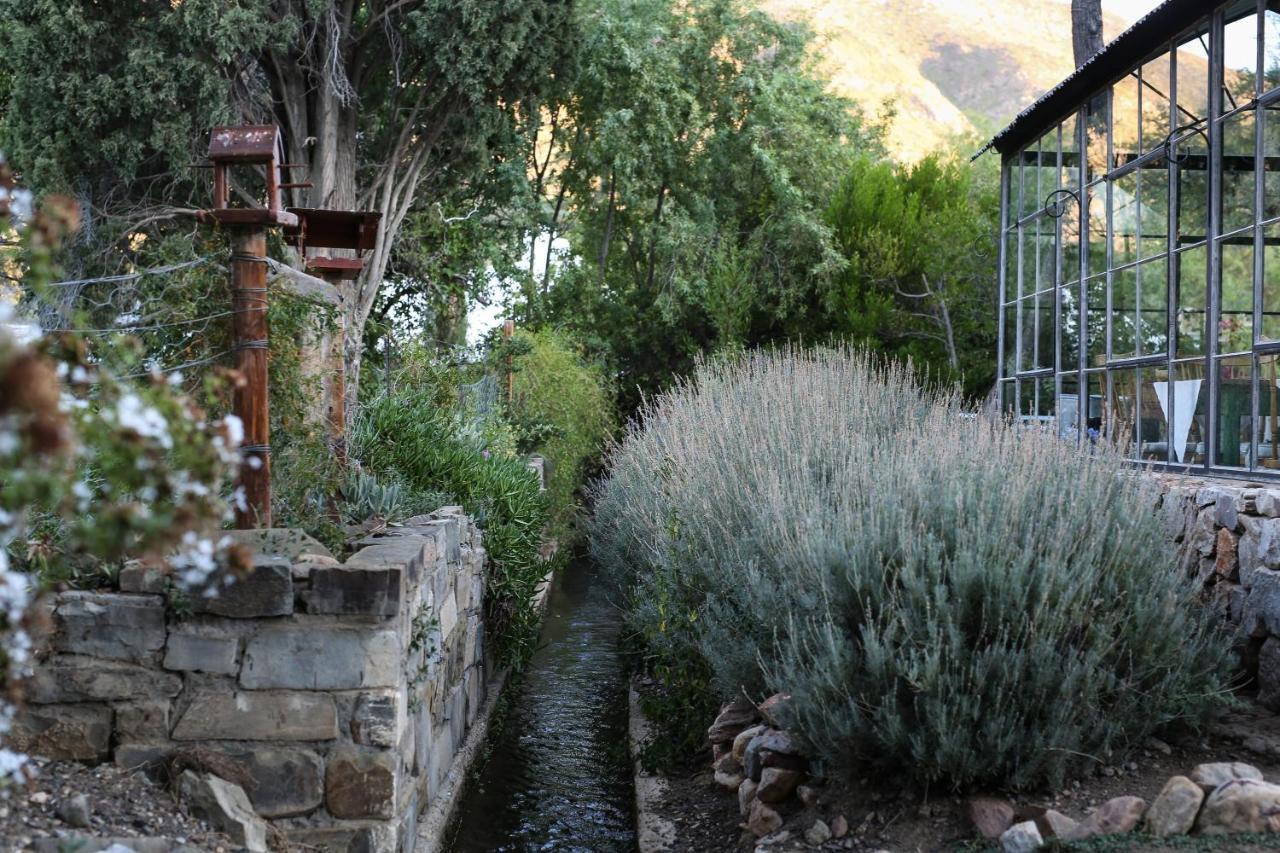 Dennehof Karoo Guesthouse Prince Albert Kültér fotó